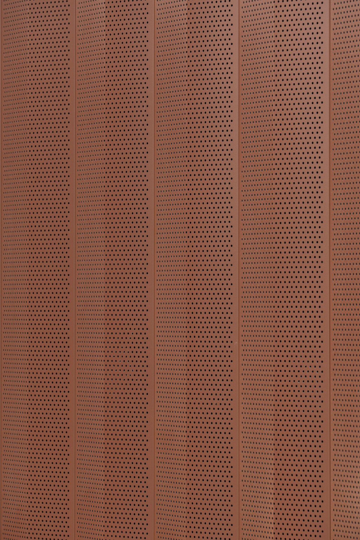 Foto's: Pilar shoots