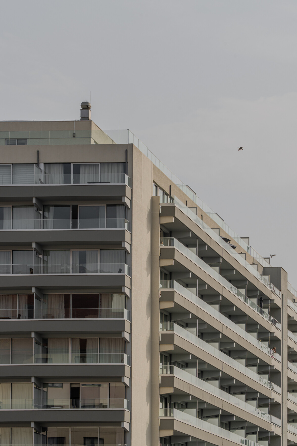 Pilar Shoots Mosselbank LR 14